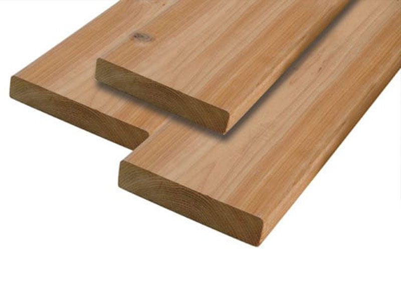 Cedar